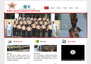 King Intelligence Services website thumbnail