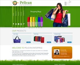 Pelican Enterprise website thumbnail